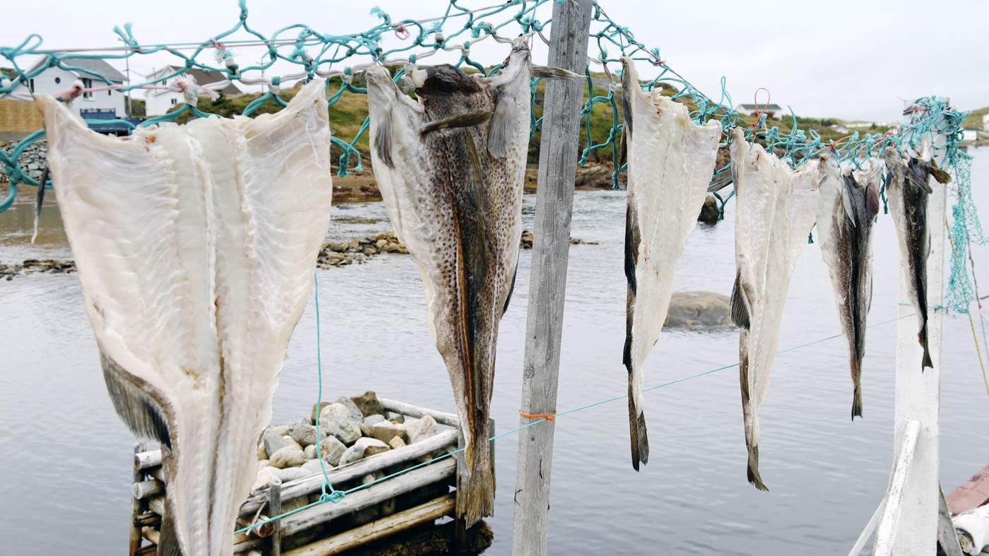 Trawler Commercial Fishing Nets Lying On Quayside Of English